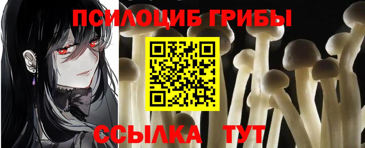 Псилоцибиновые грибы мухоморы Санкт-Петербург