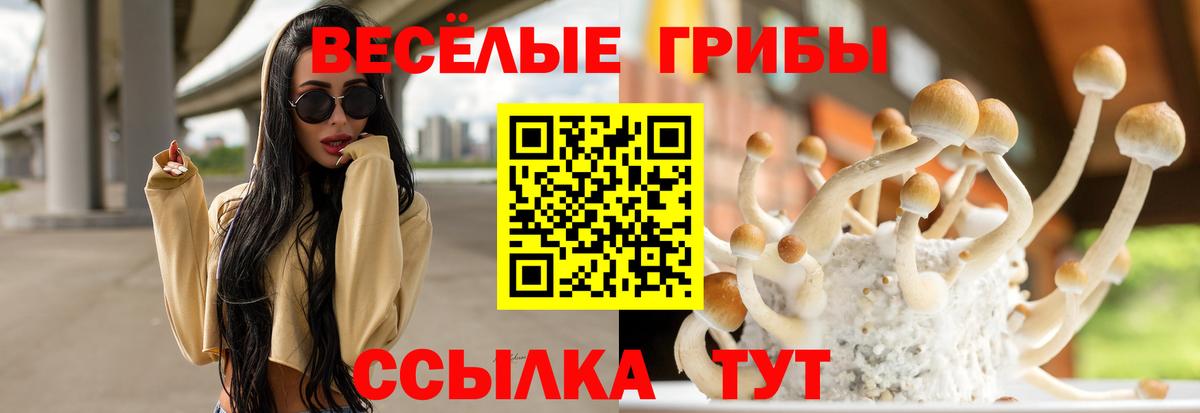 Галлюциногенные грибы Magic Shrooms  Вход с VPN  где можно купить   Санкт-Петербург 